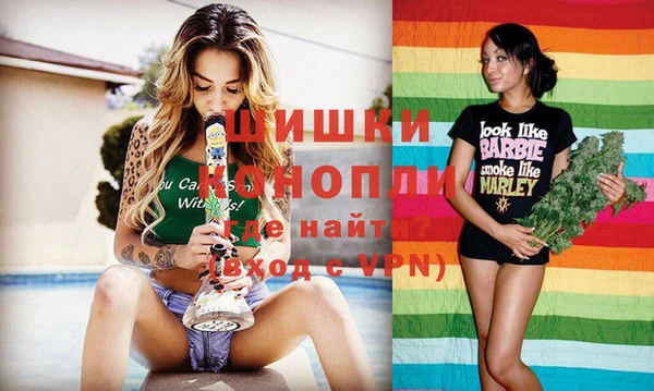 дмт Лагань