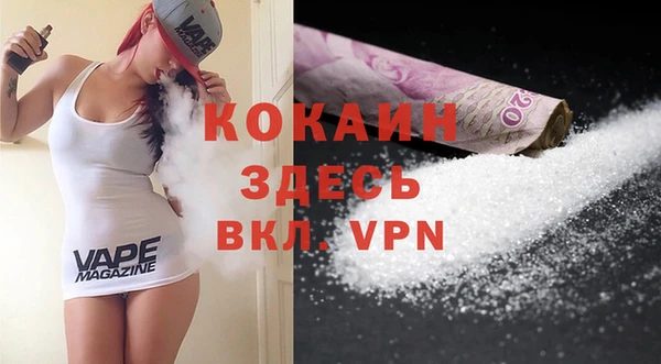дмт Лагань