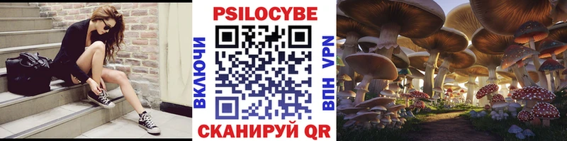 Псилоцибиновые грибы Psilocybe Мостовской